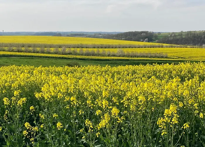 بيت للعطل Grosszuegiges Nahe Rochlitz *